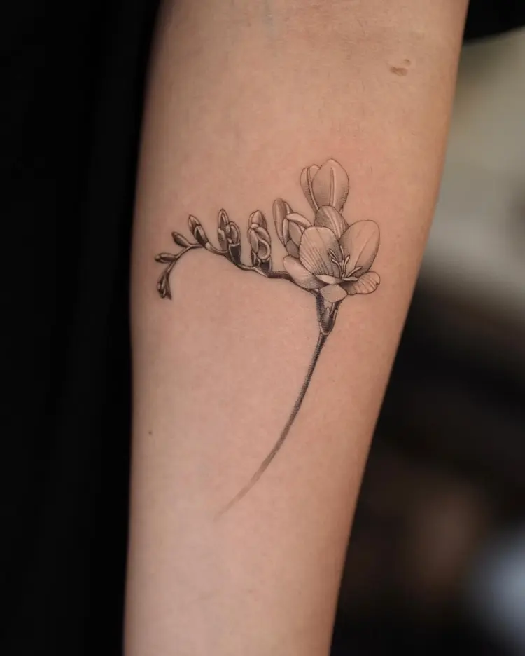 Flower, Nature