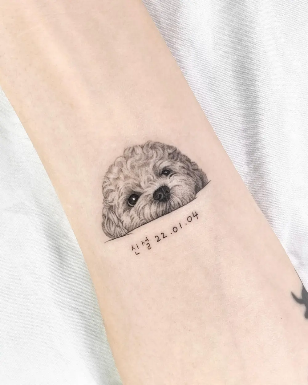 Animal, Mini