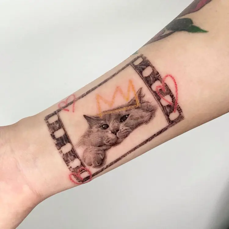 Animal