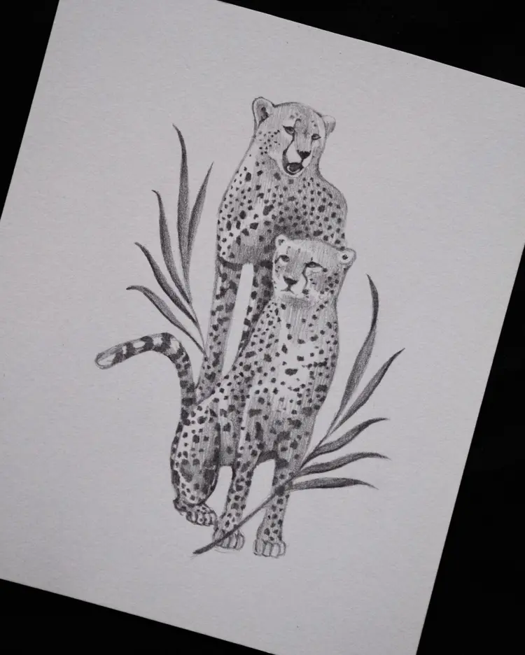 Nature, Animal