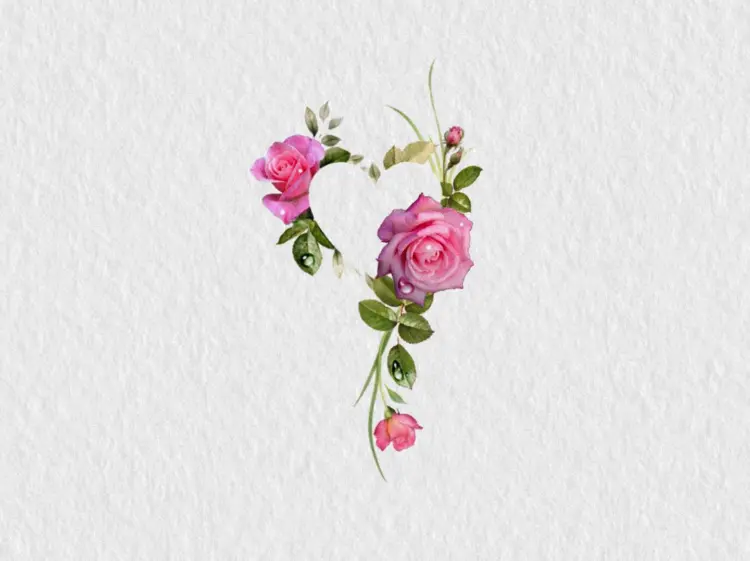Flower, Nature, Rose
