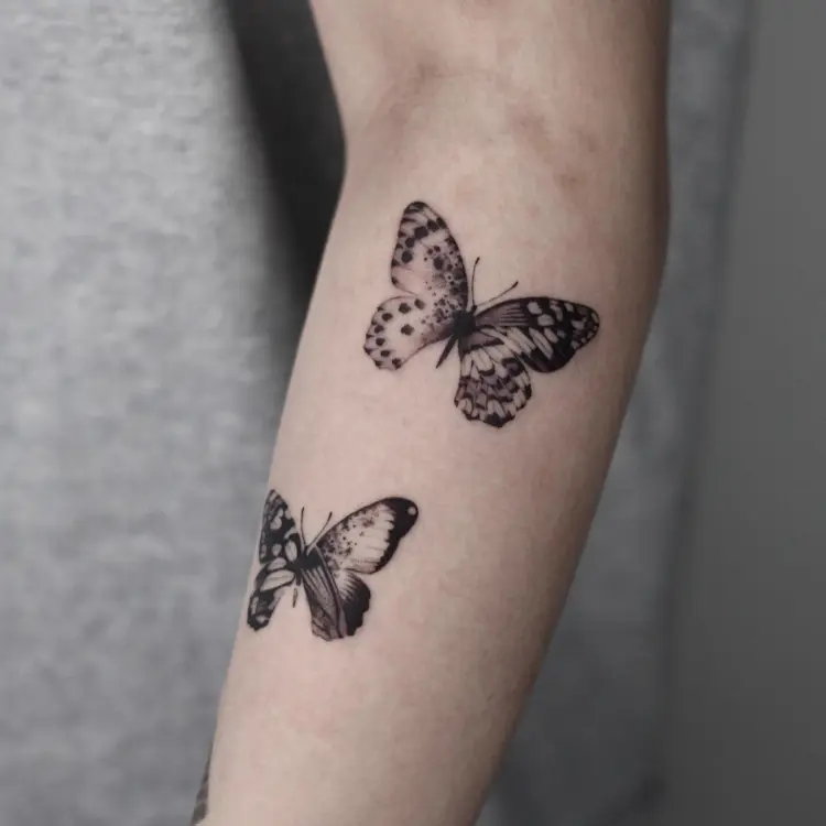 Animal, Nature
