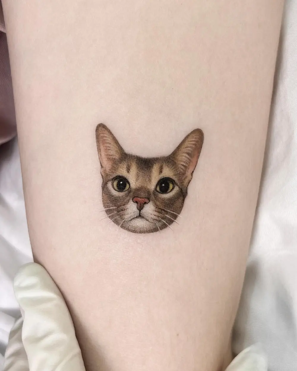 Animal