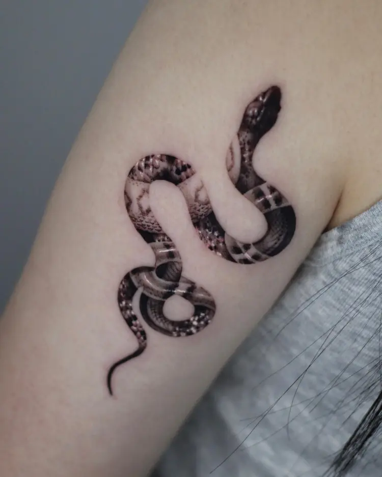 Snake