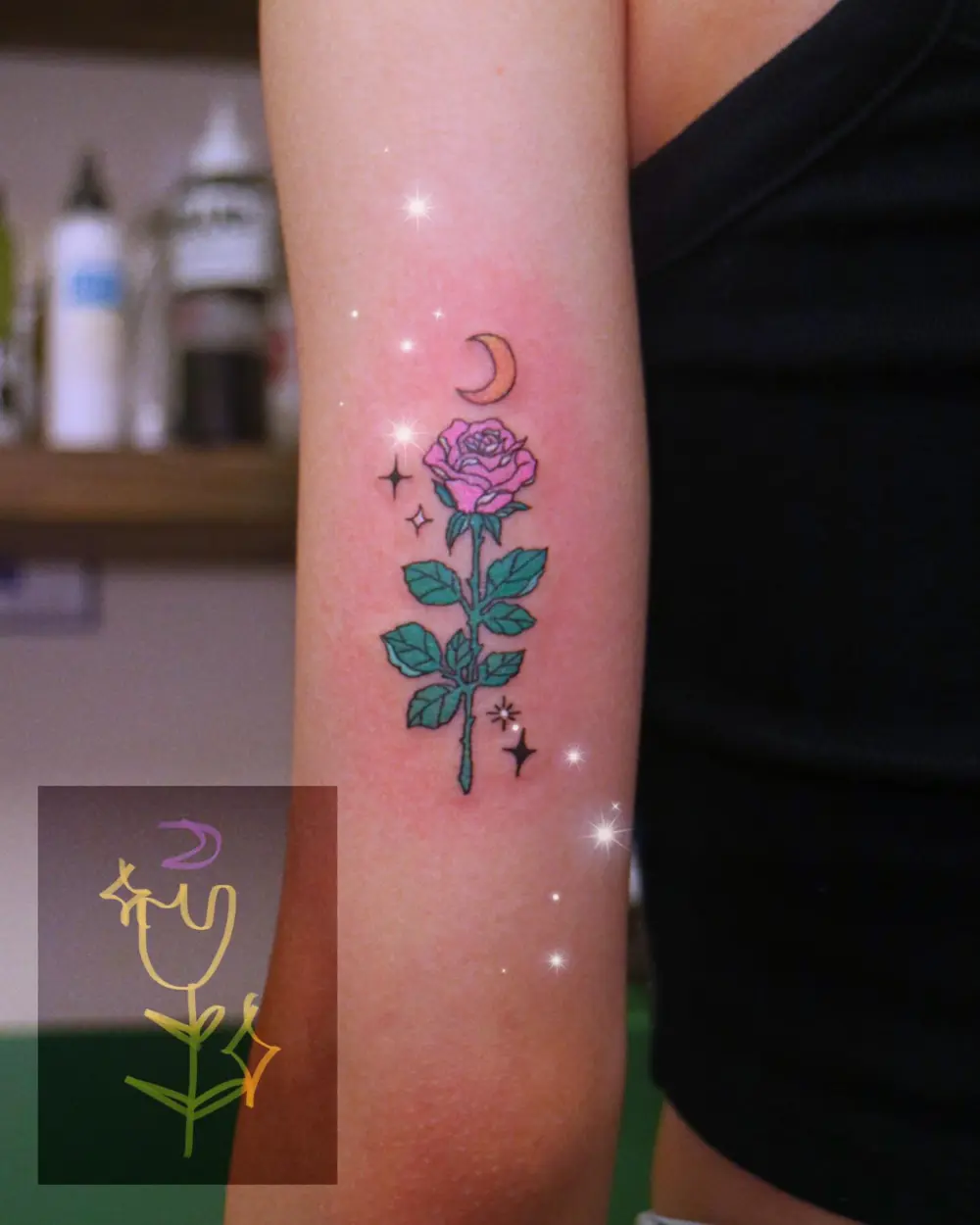 Rose, Flower, Nature