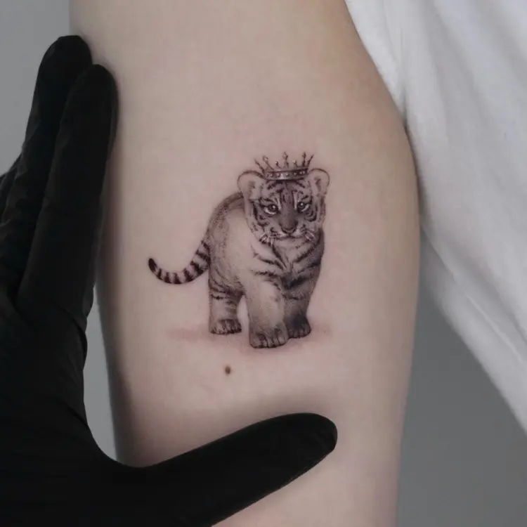 Tiger, Animal