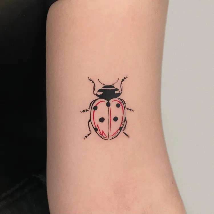 Animal, Mini