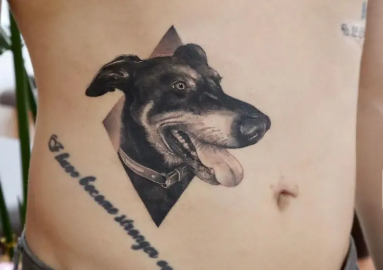 Animal