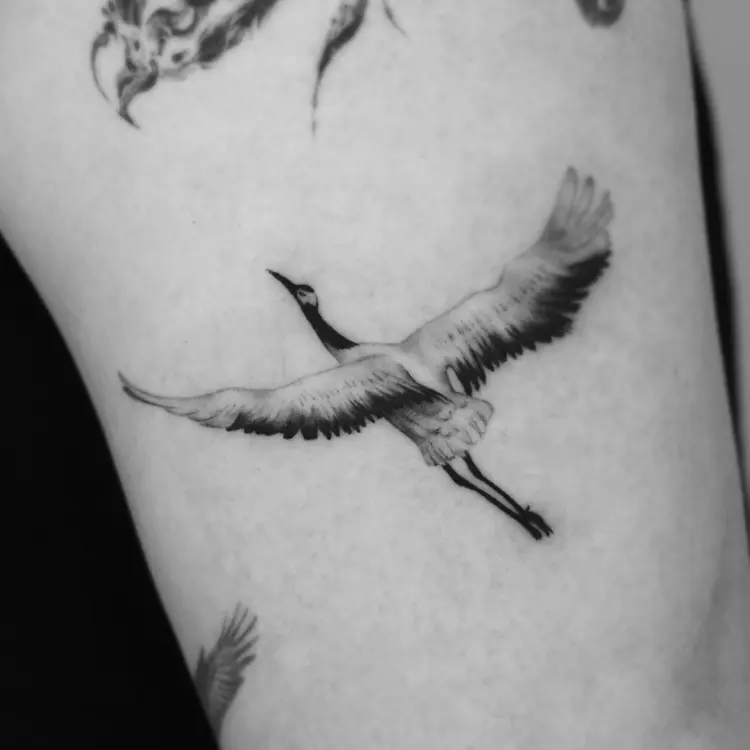 40.tatt