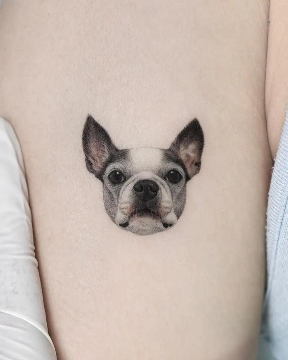 Animal