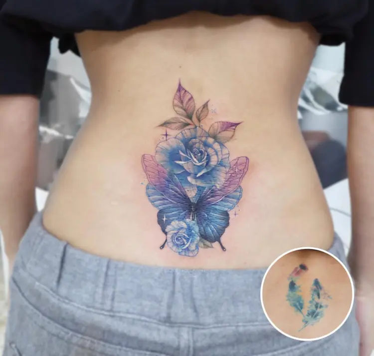 Rose, Nature, Flower