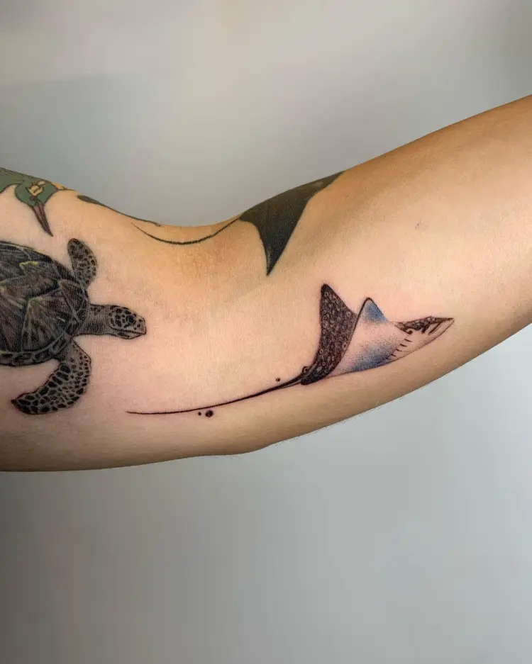 Animal, Nature
