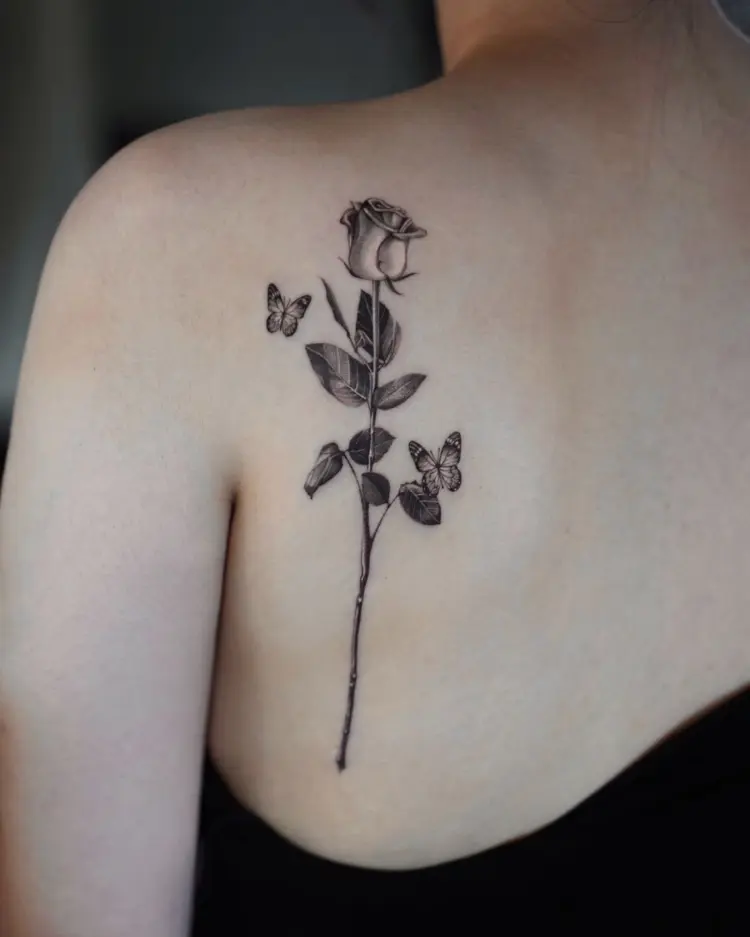 Nature, Rose, Flower