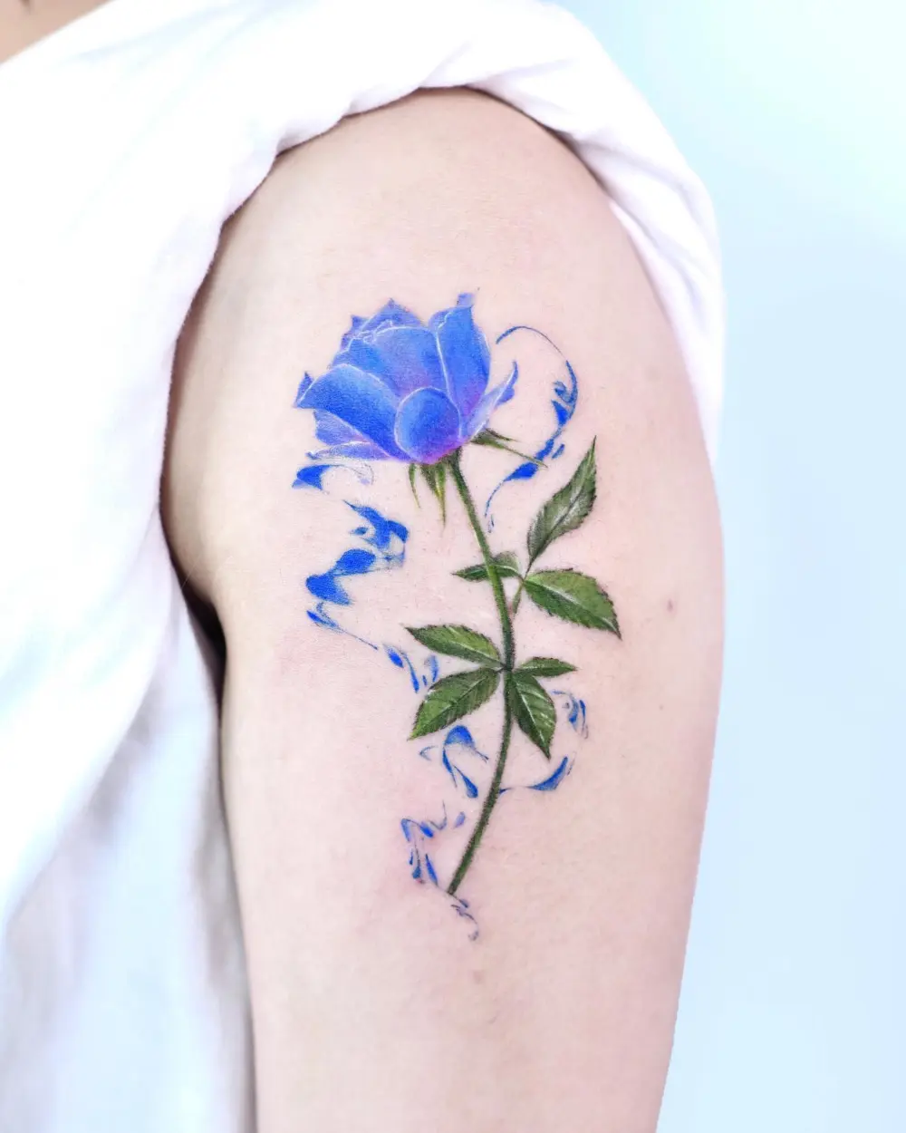 Flower, Rose, Nature