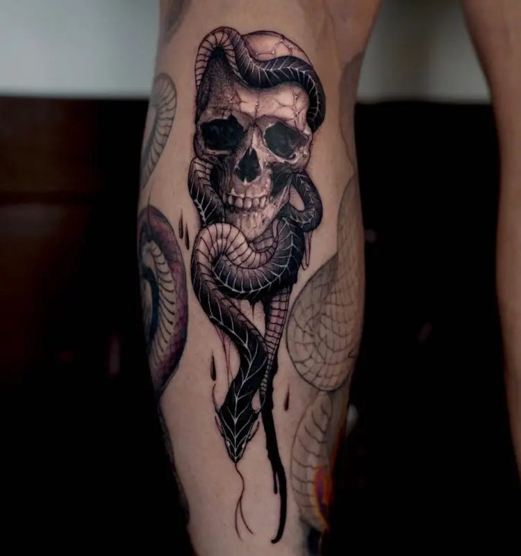 Skull, Snake