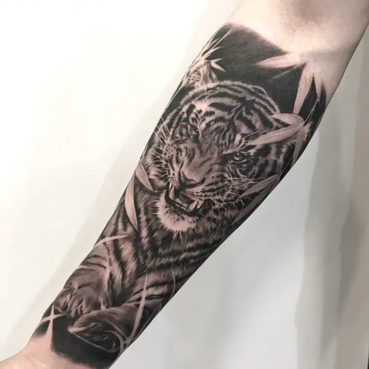 Tiger