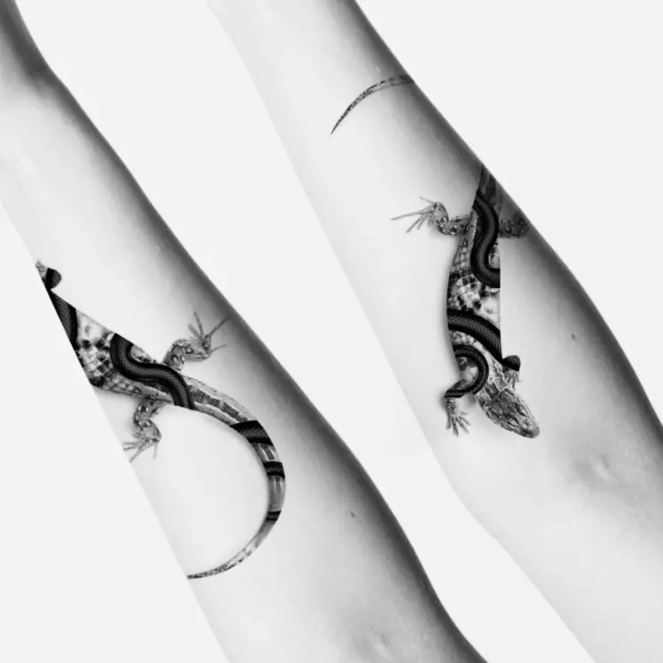 Animal, Snake