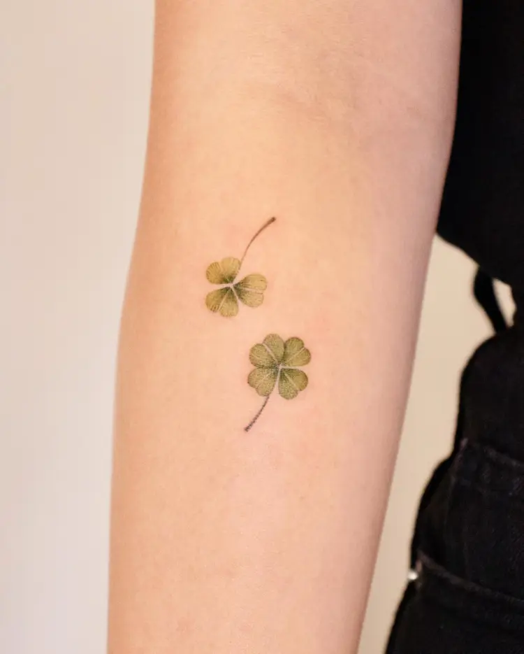 Flower, Nature, Mini