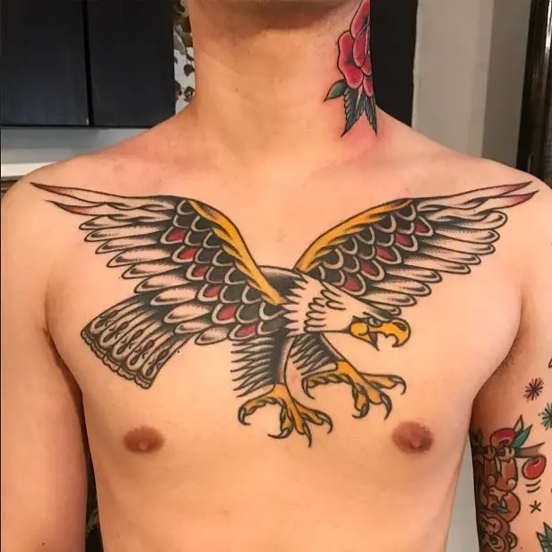 Animal