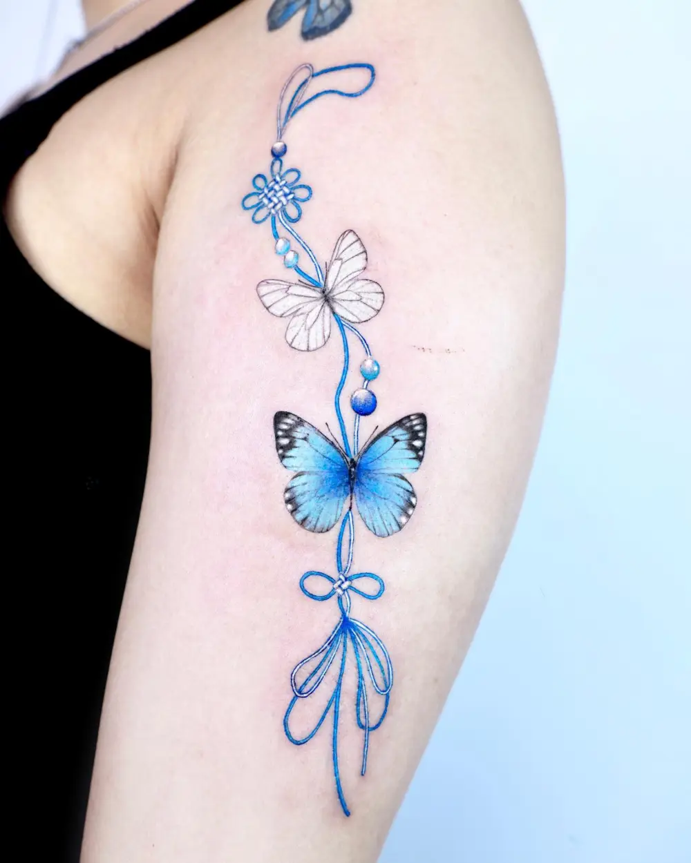 Animal, Flower, Nature