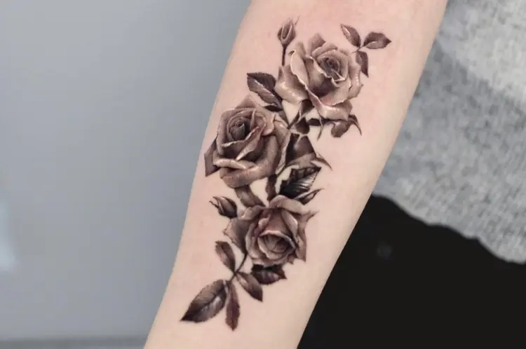 Flower, Rose