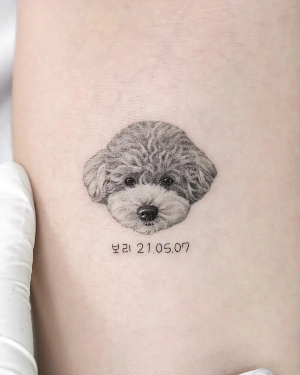 Animal, Mini