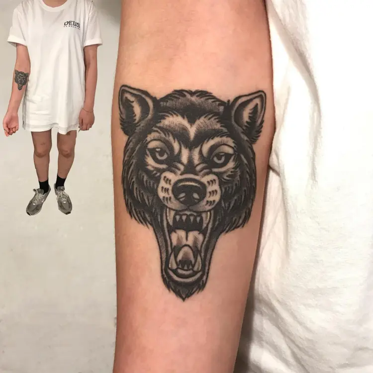 Animal