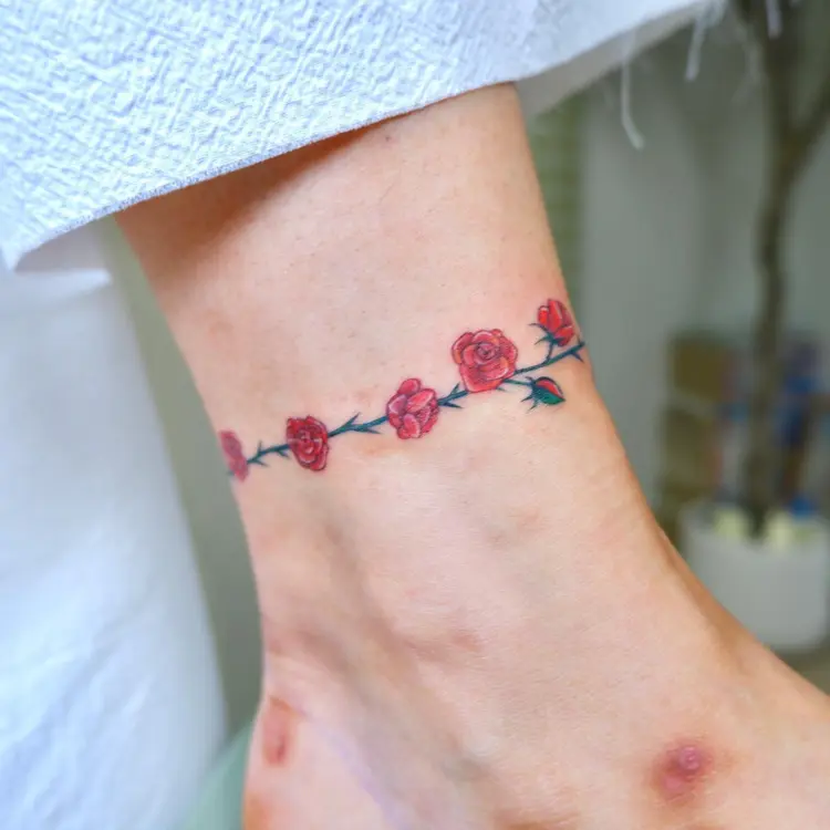 Nature, Flower, Rose