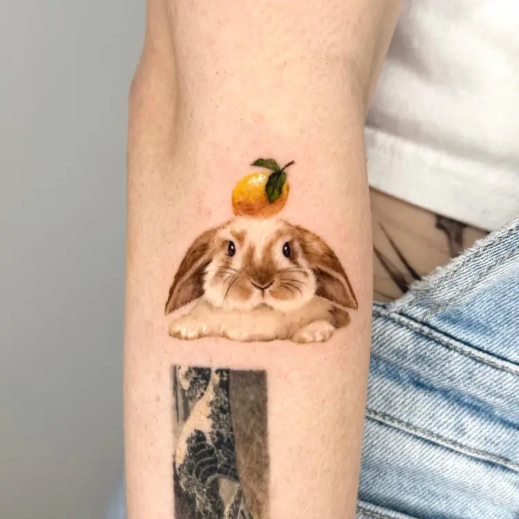 Animal