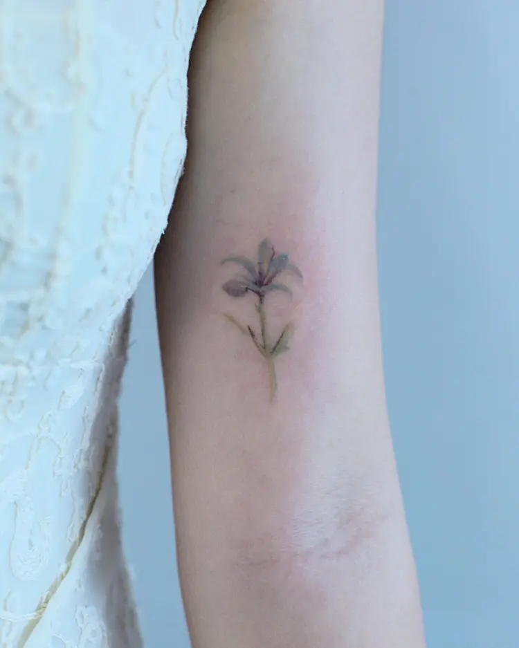 Nature, Flower