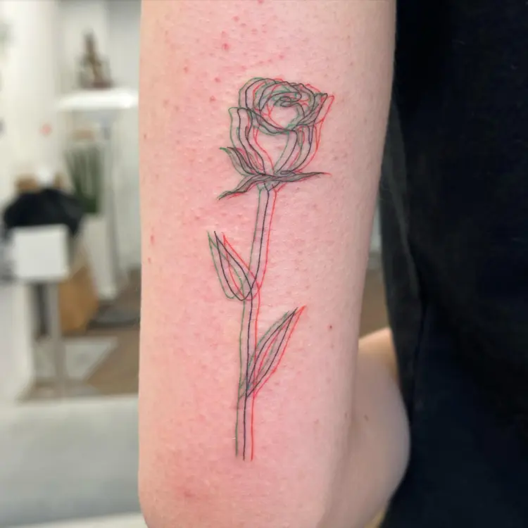 Flower, Rose