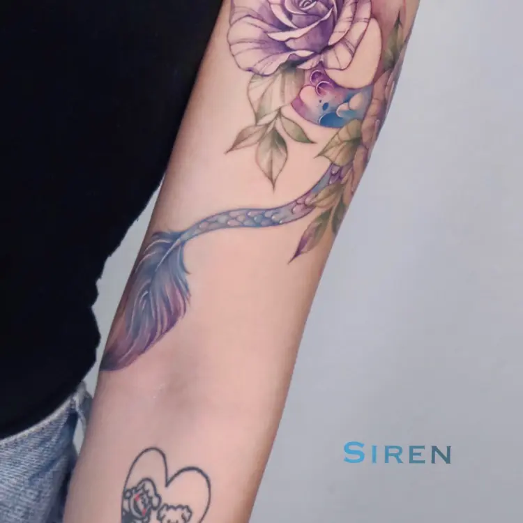 Animal, Flower, Rose, Nature