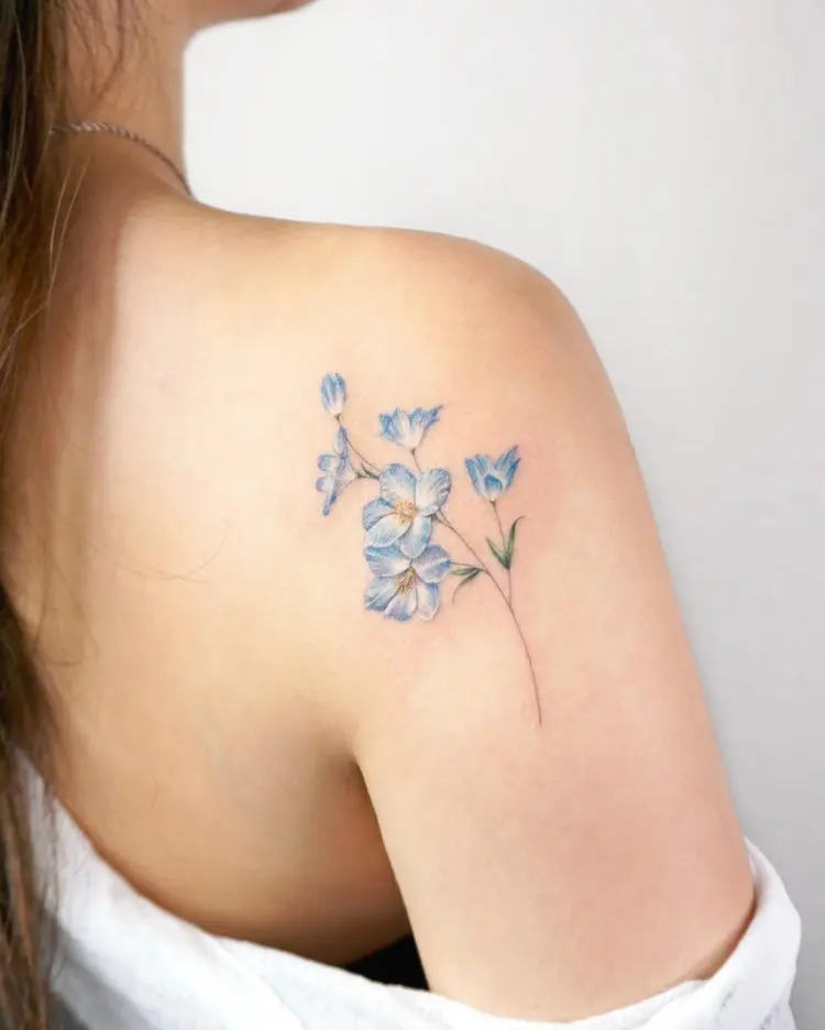 Flower, Nature