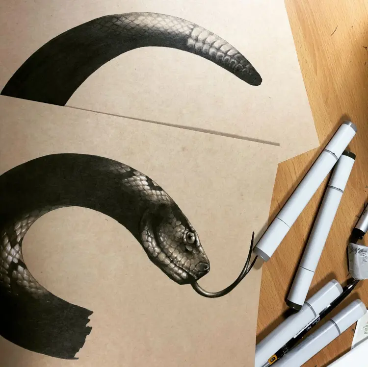Snake, Animal