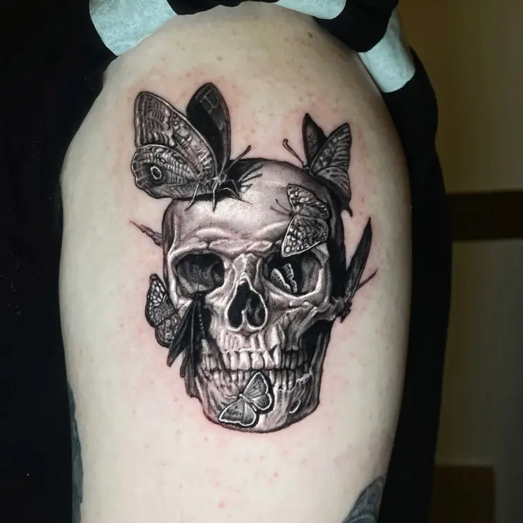 Nature, Skull, Animal