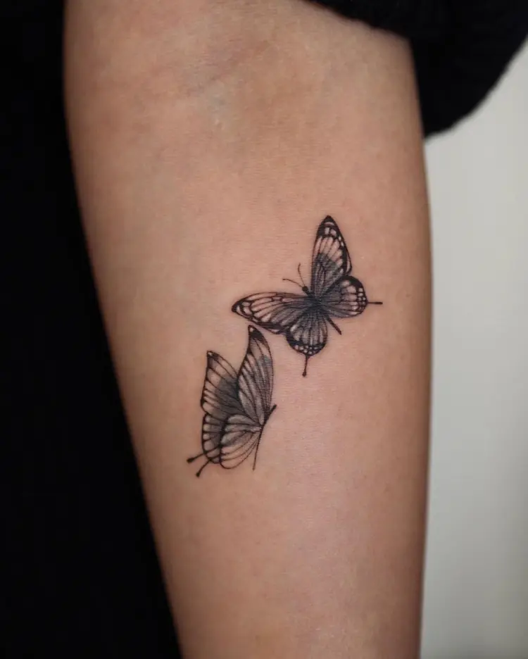 Animal, Nature
