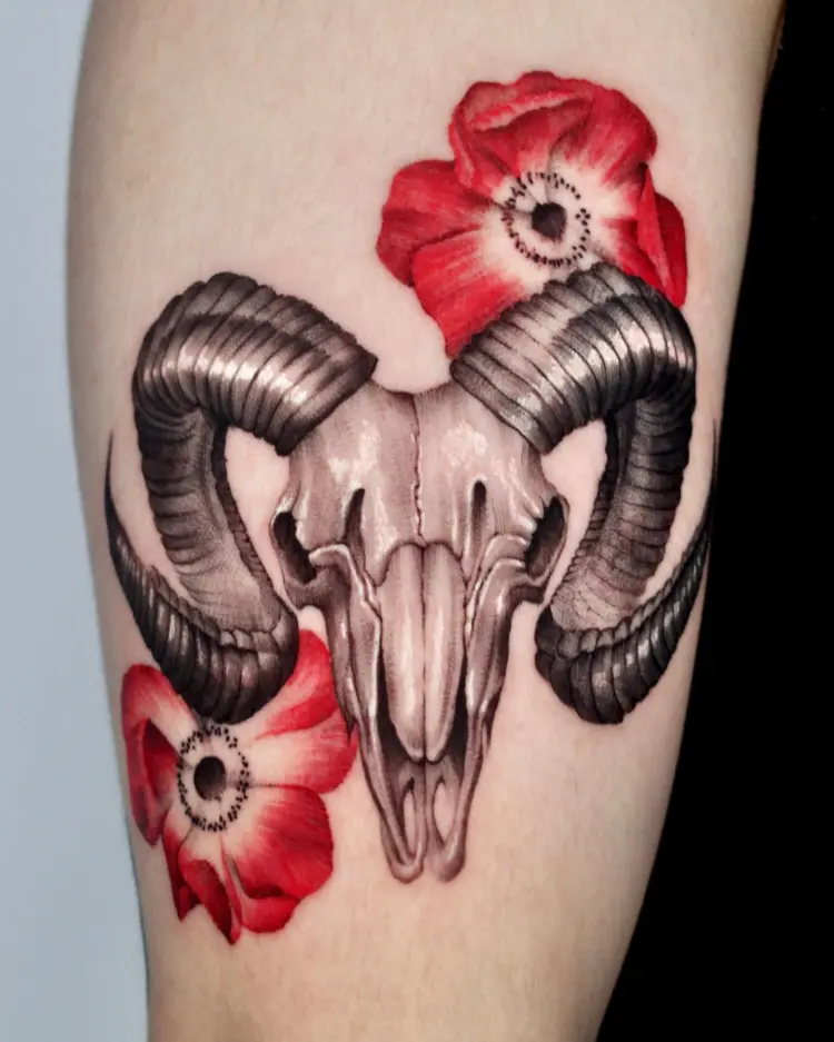 Animal, Flower
