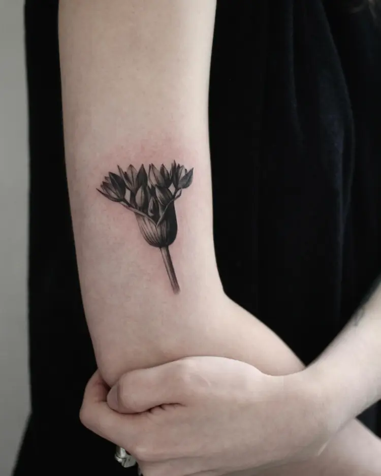 Nature, Flower