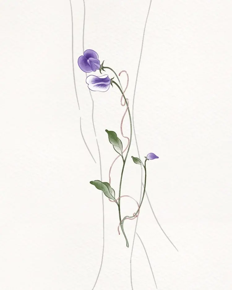 Nature, Flower