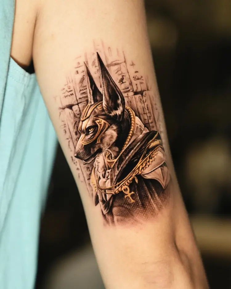 Animal