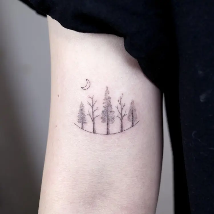 Nature
