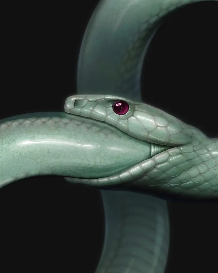 Animal, Snake