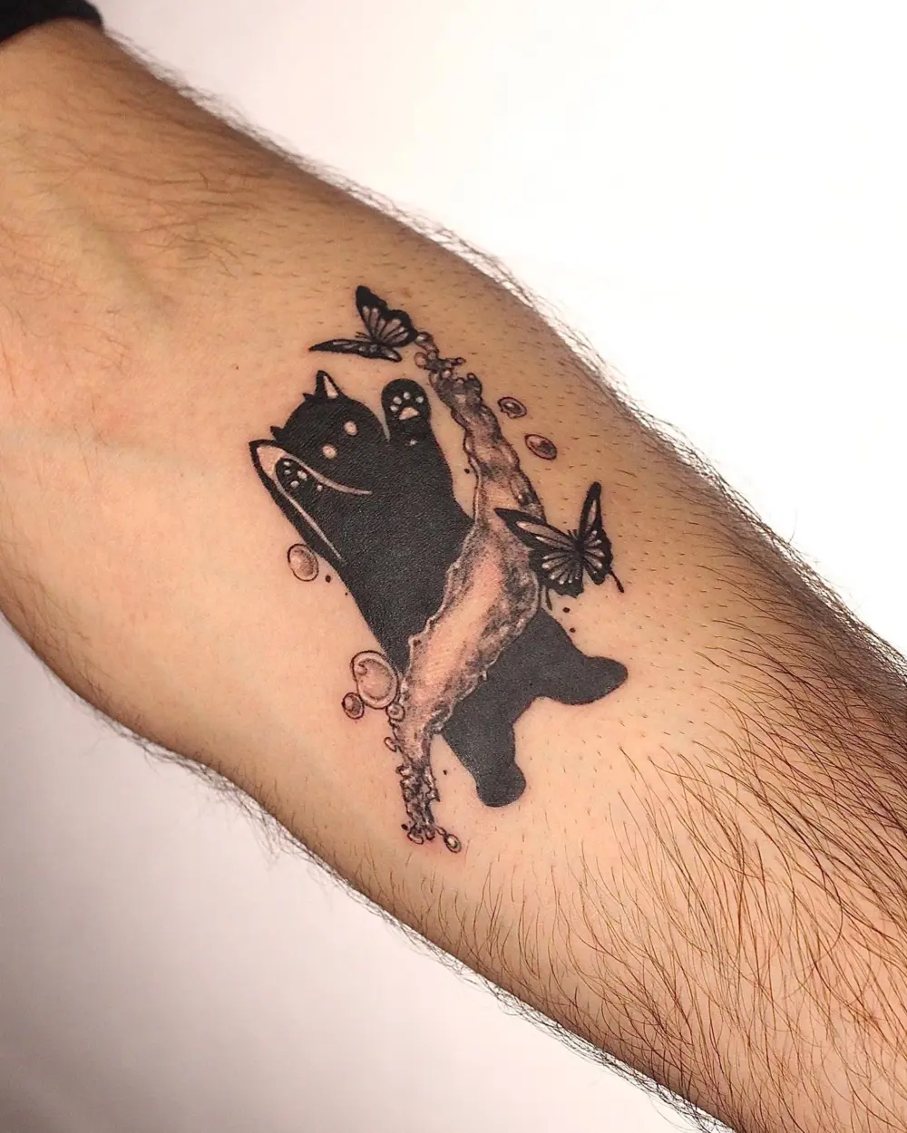 Animal