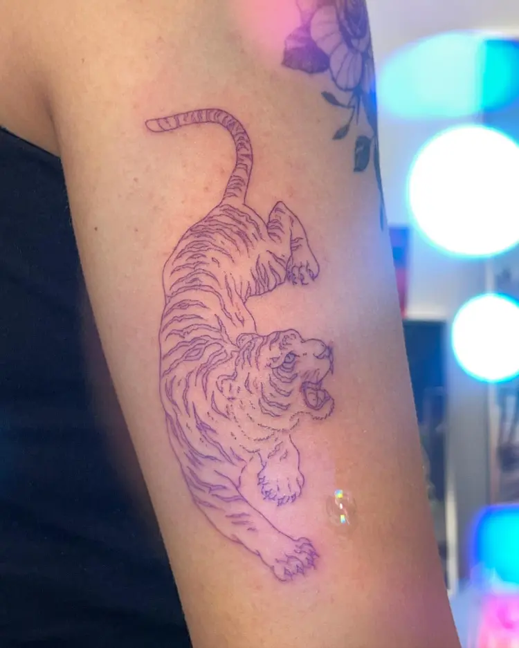 Tiger