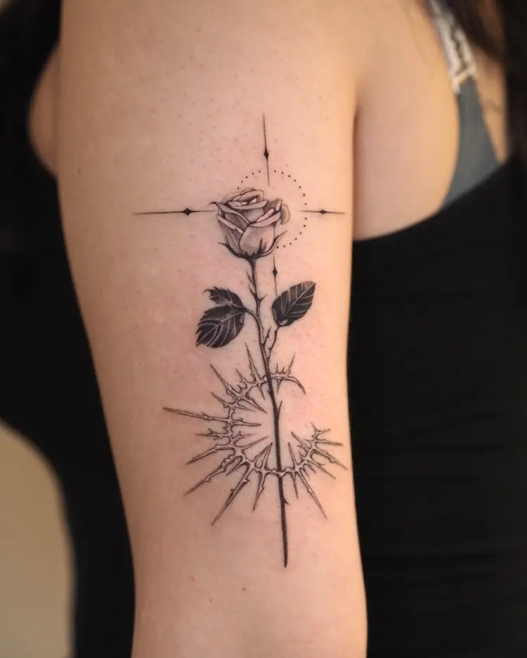 Nature, Geometric