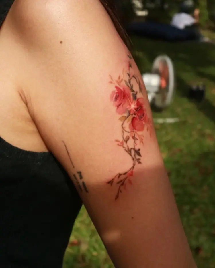 Flower, Rose