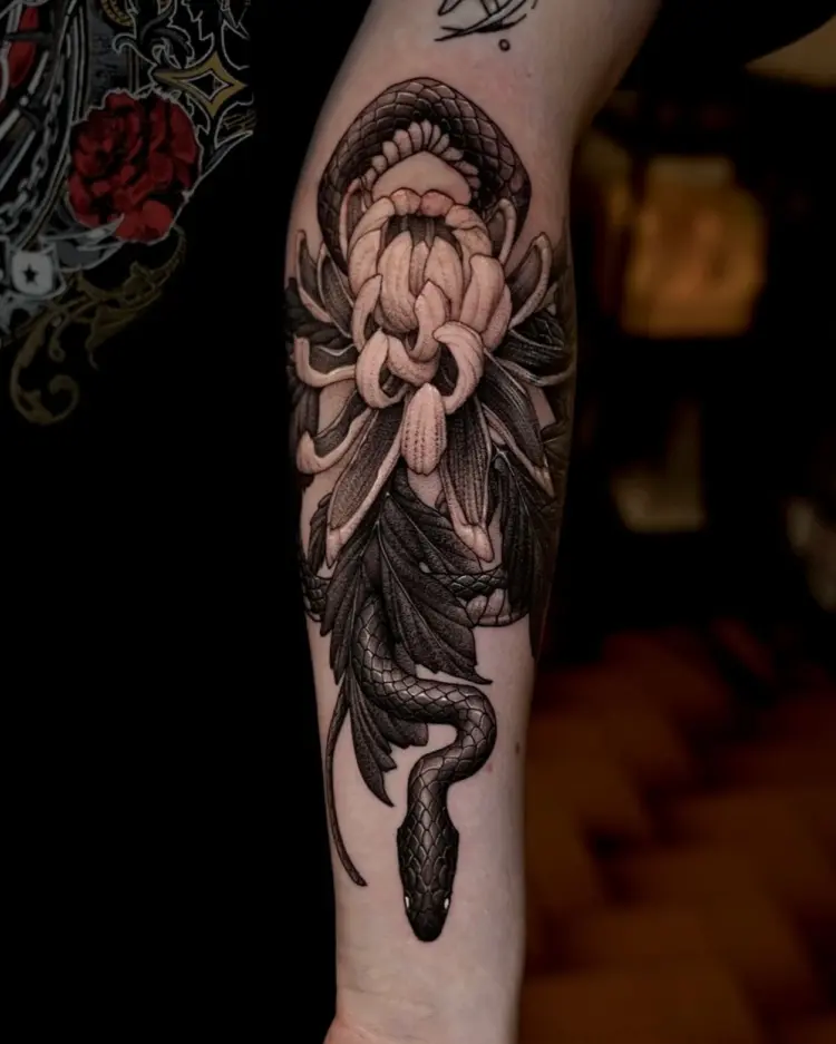 Snake, Nature, Flower