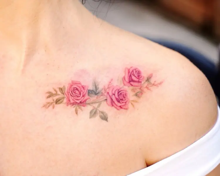 Flower, Nature, Rose
