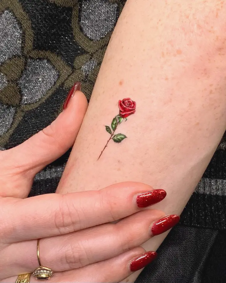 Flower, Rose