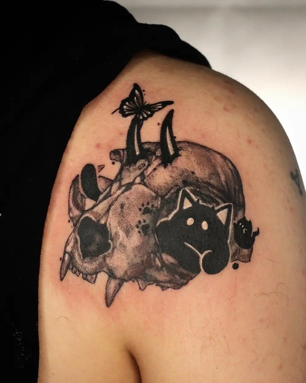 gnar.ttt